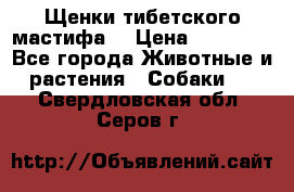 Щенки тибетского мастифа. › Цена ­ 30 000 - Все города Животные и растения » Собаки   . Свердловская обл.,Серов г.